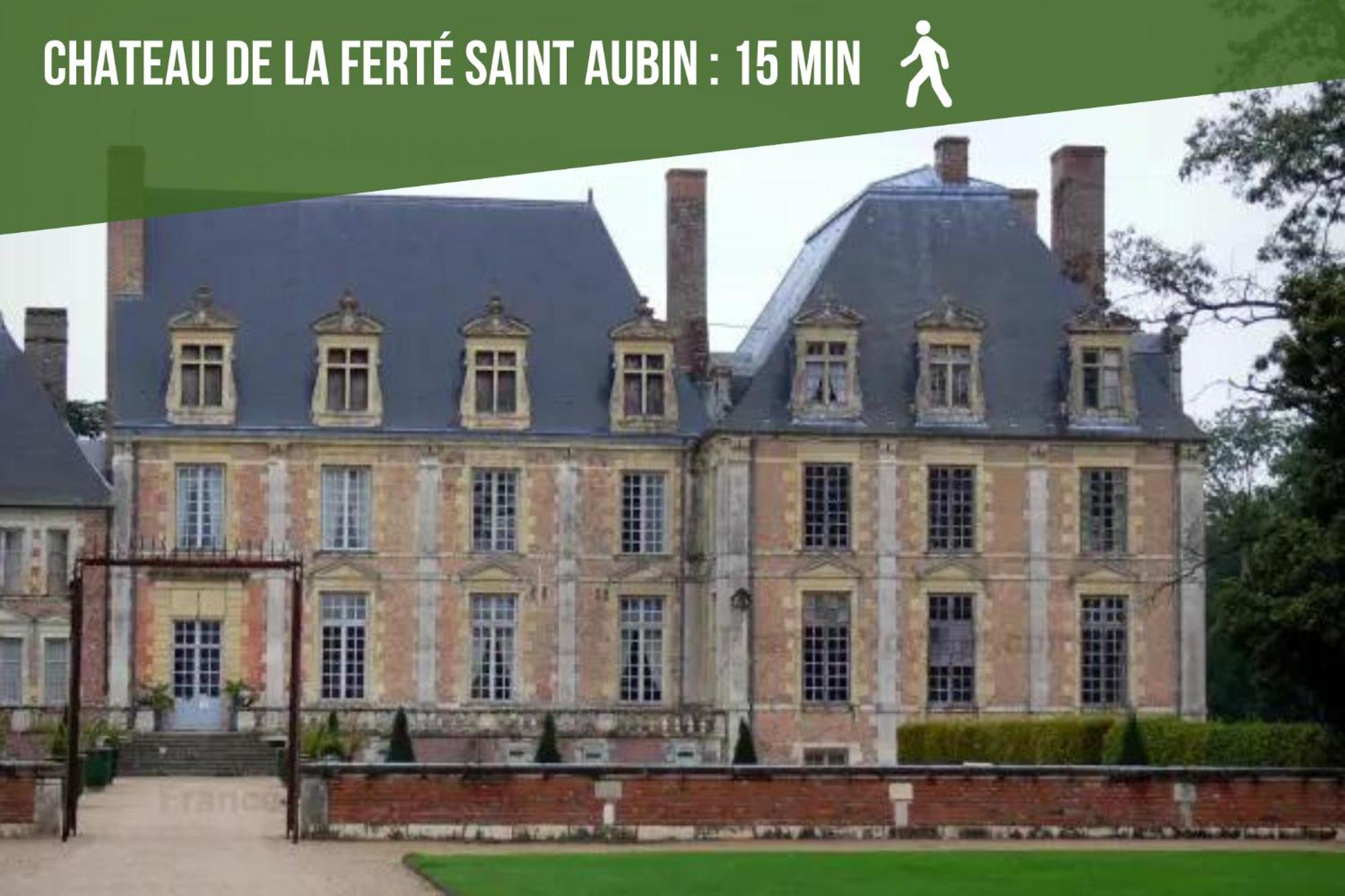 Sologne Evasion Daire La Ferté-Saint-Aubin Dış mekan fotoğraf